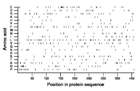 amino acid map