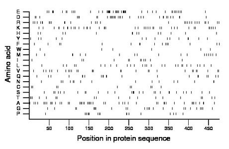 amino acid map