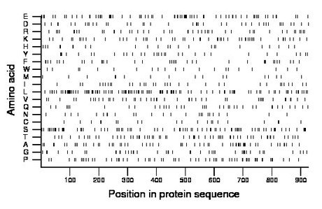 amino acid map