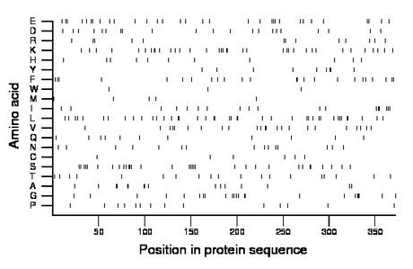 amino acid map