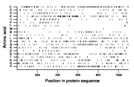 amino acid map