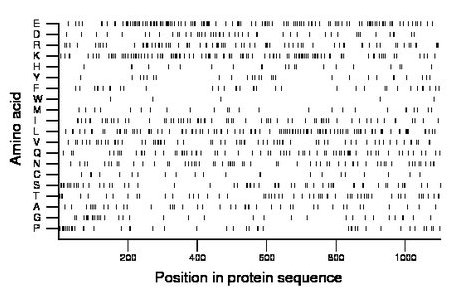 amino acid map