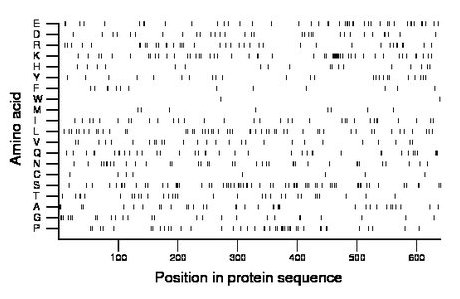 amino acid map