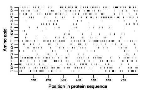 amino acid map