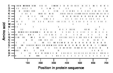 amino acid map