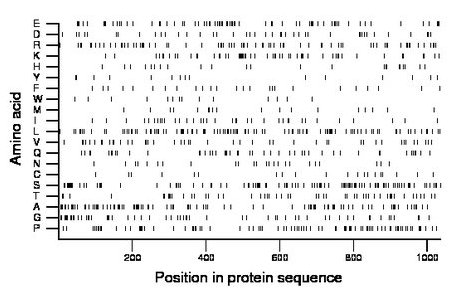 amino acid map