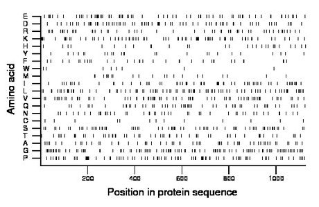 amino acid map