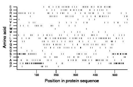 amino acid map