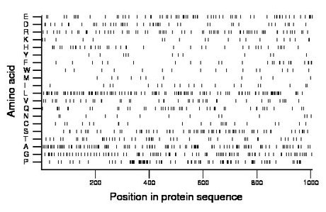 amino acid map