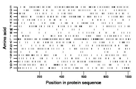 amino acid map