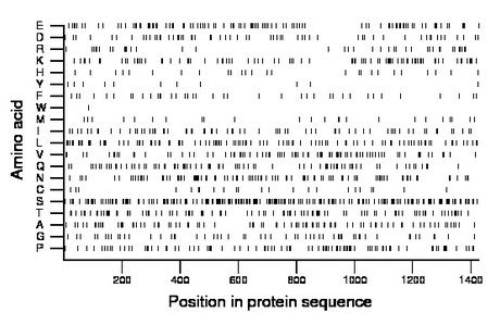 amino acid map