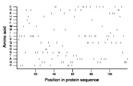 amino acid map