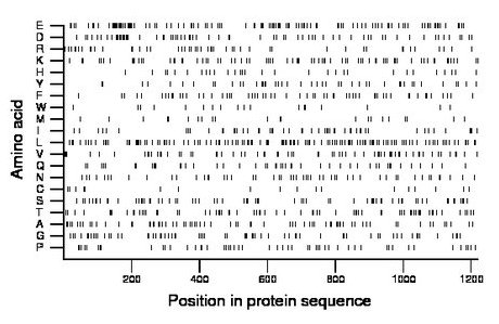 amino acid map