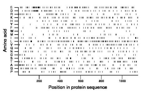 amino acid map