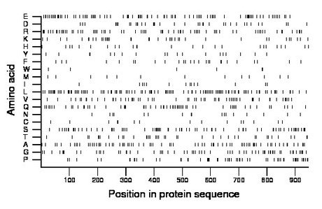 amino acid map