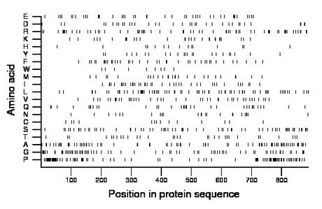 amino acid map