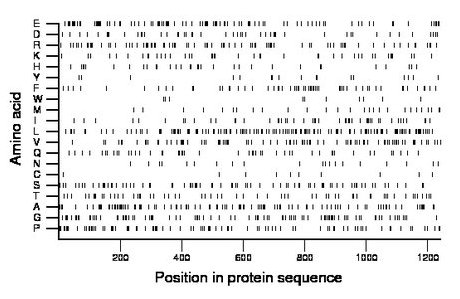 amino acid map