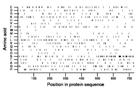 amino acid map