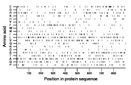 amino acid map