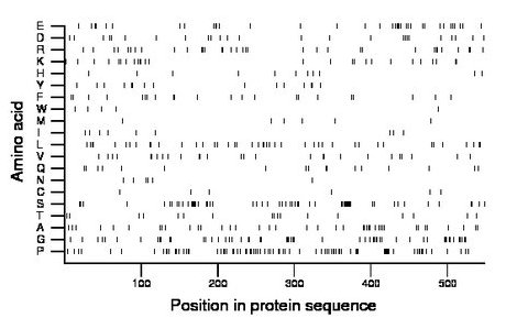 amino acid map