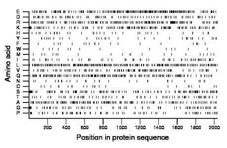 amino acid map