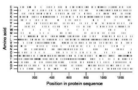 amino acid map