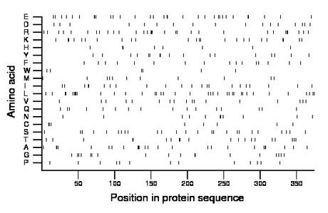 amino acid map