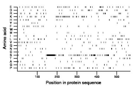 amino acid map