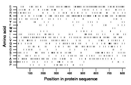 amino acid map