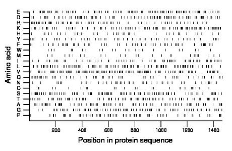 amino acid map