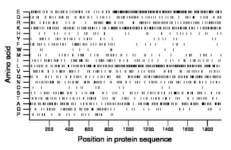 amino acid map