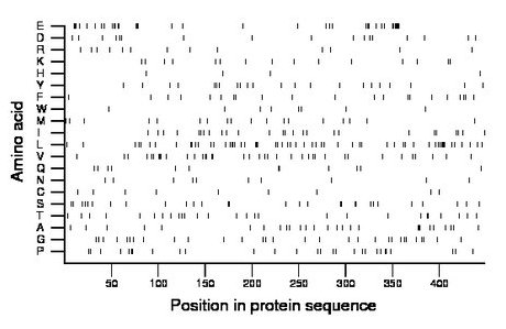 amino acid map