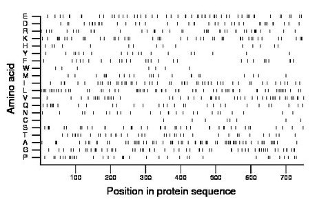 amino acid map