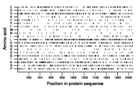 amino acid map