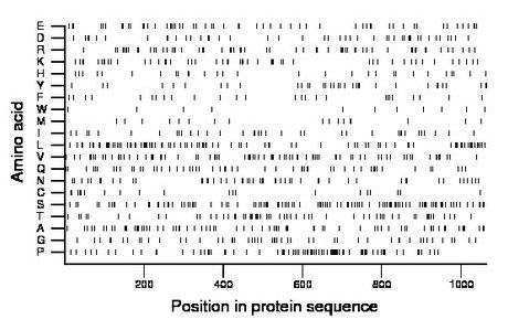 amino acid map