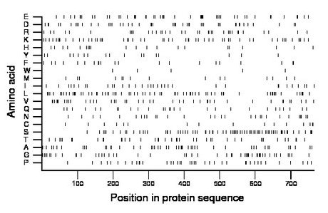 amino acid map