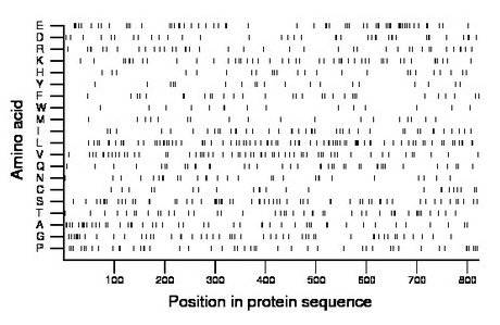 amino acid map