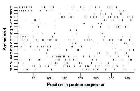 amino acid map