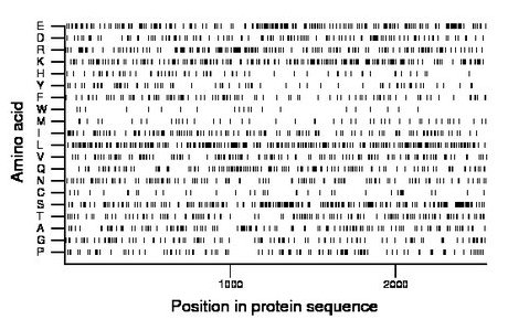 amino acid map