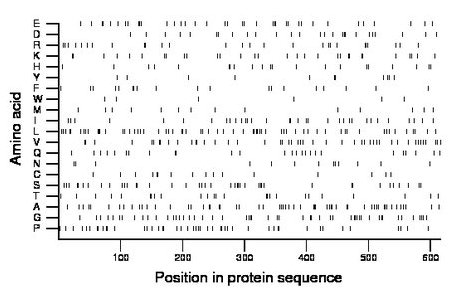 amino acid map