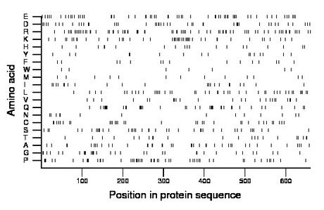 amino acid map