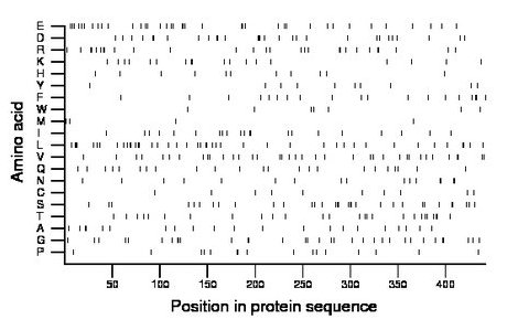 amino acid map