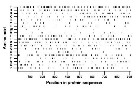 amino acid map