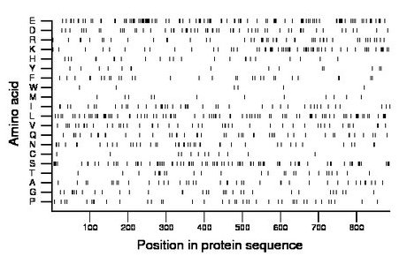 amino acid map