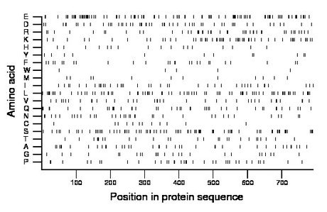 amino acid map