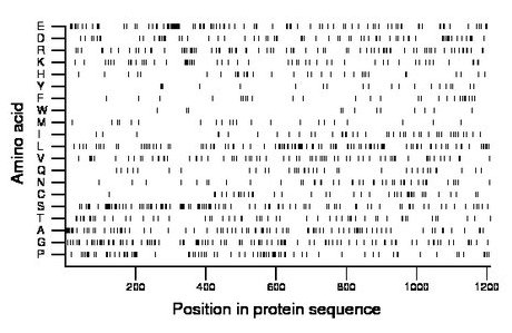 amino acid map