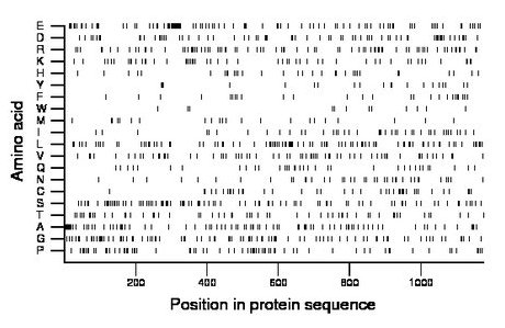 amino acid map