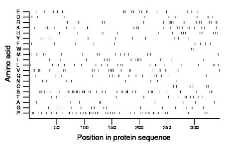 amino acid map