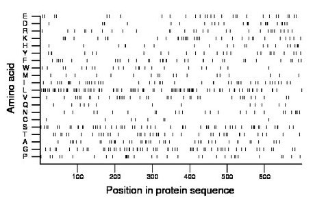 amino acid map