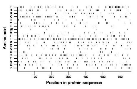 amino acid map